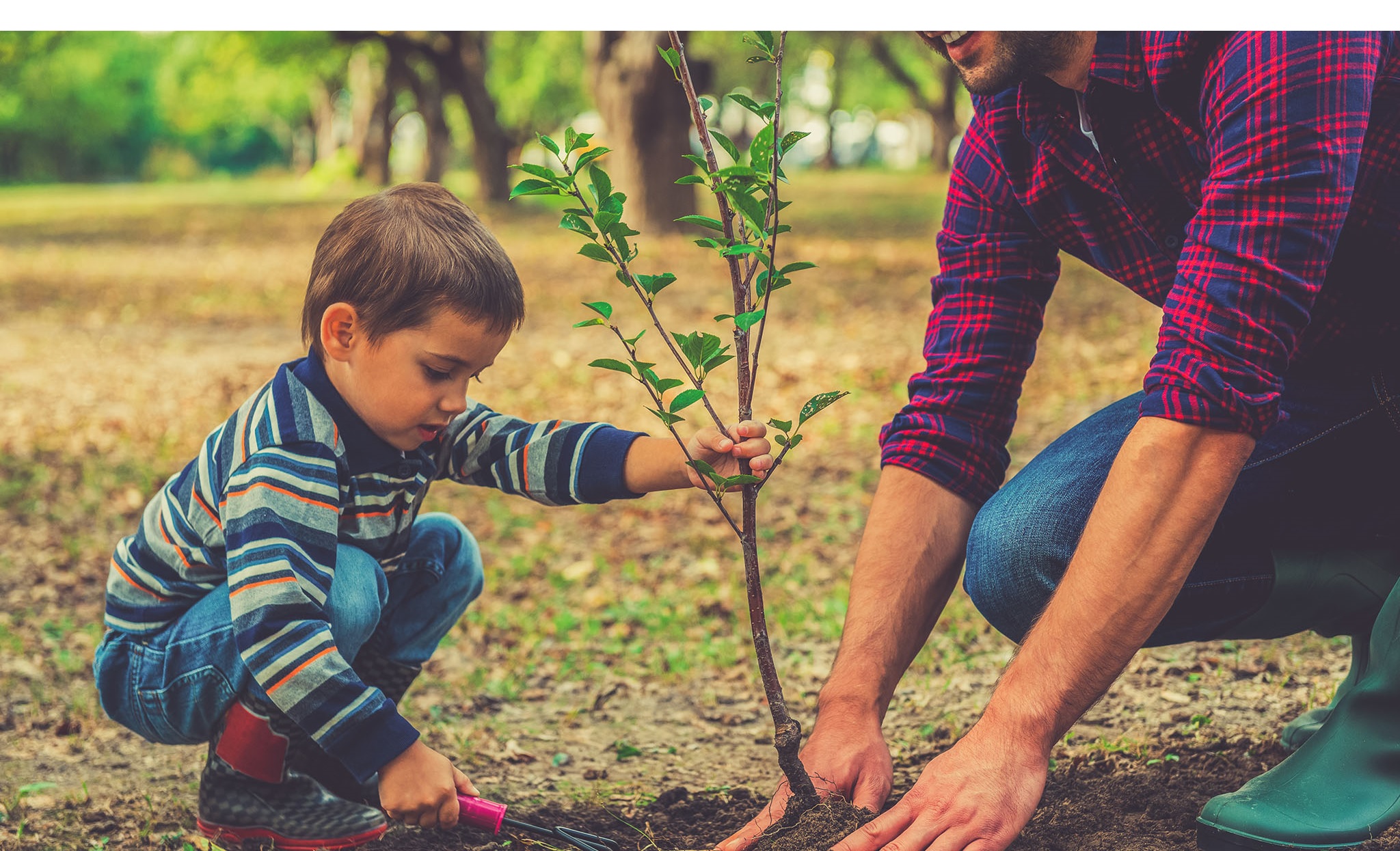 Sustainability Picture